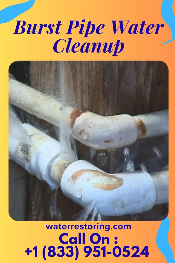 Burst Pipe Water Cleanup in Heuvelton, NY