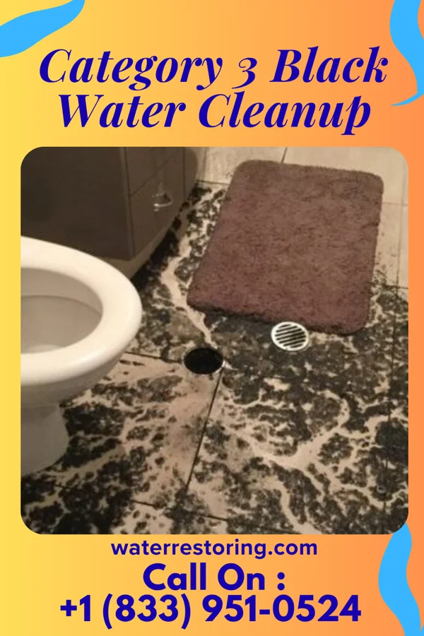 Category 3 Black Water Cleanup in Heuvelton, NY