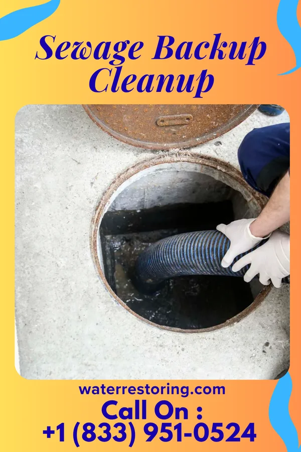 Sewage Backup Cleanup in Heuvelton, NY